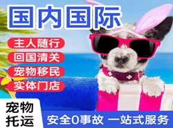 中卫沙坡头机场货运国际宠物托运 【国